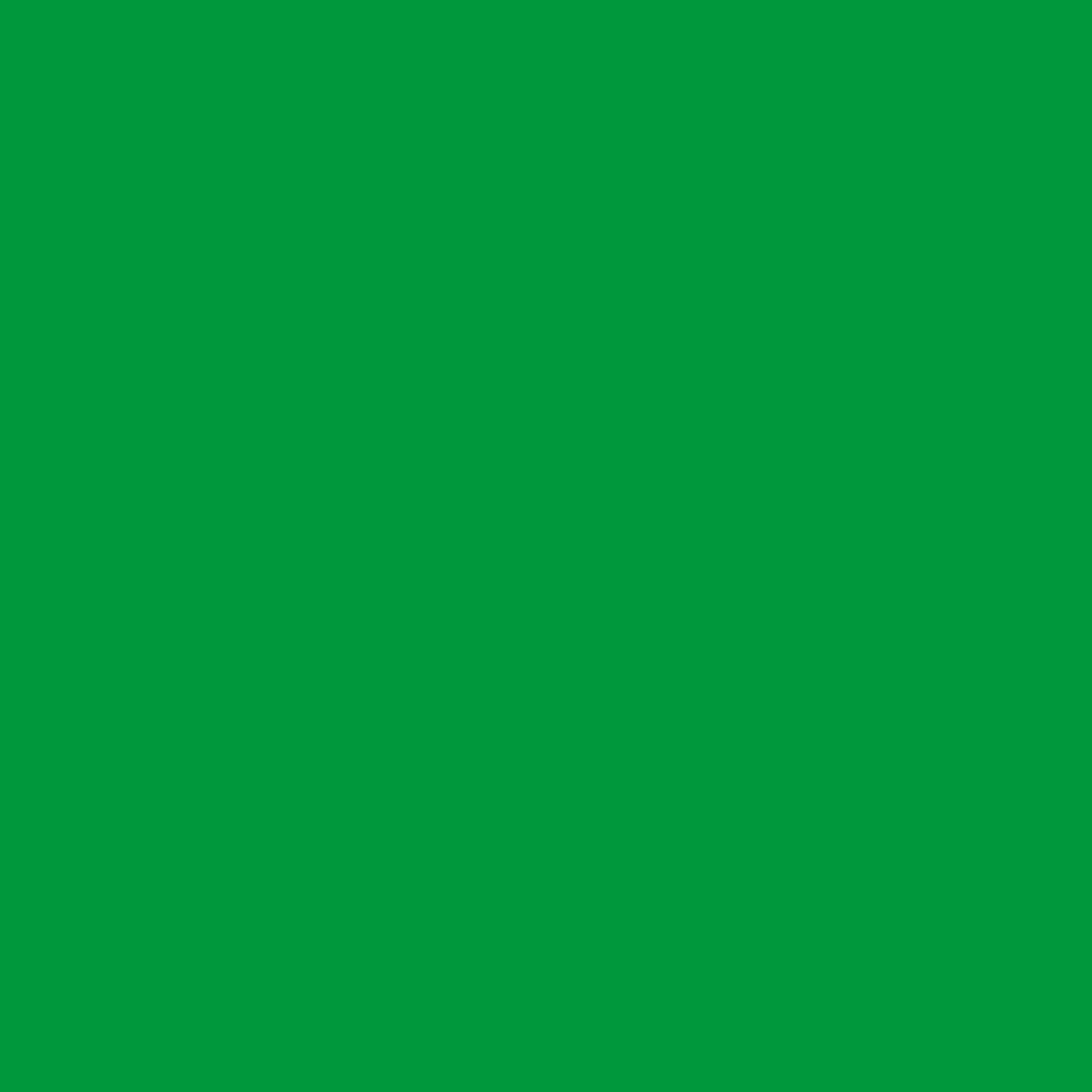 Foglia di menta piperita 2033-20