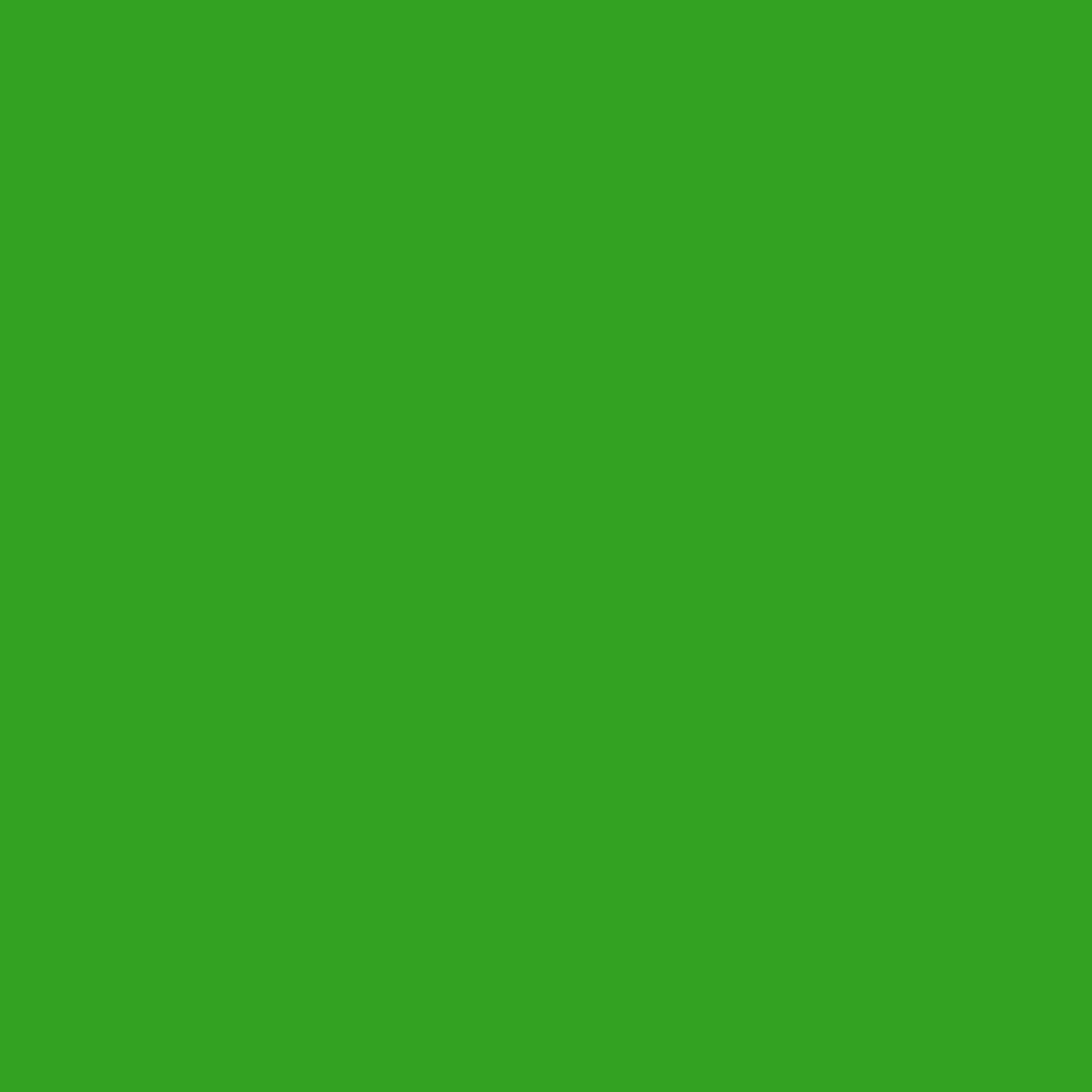 Verde lucertola 2030-10