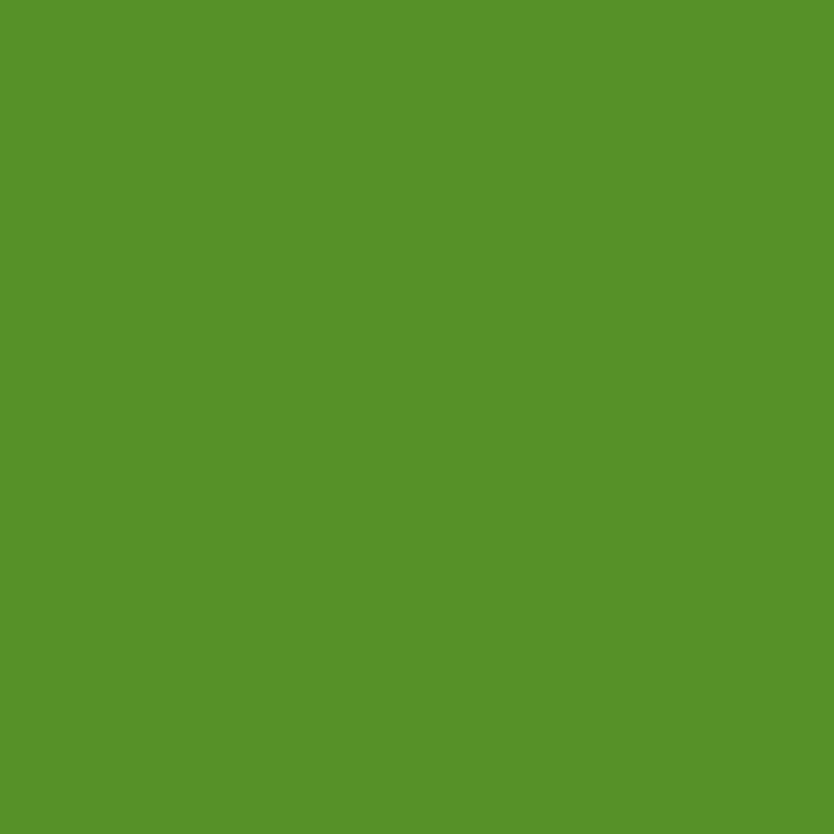 Basilico Verde 2029-10