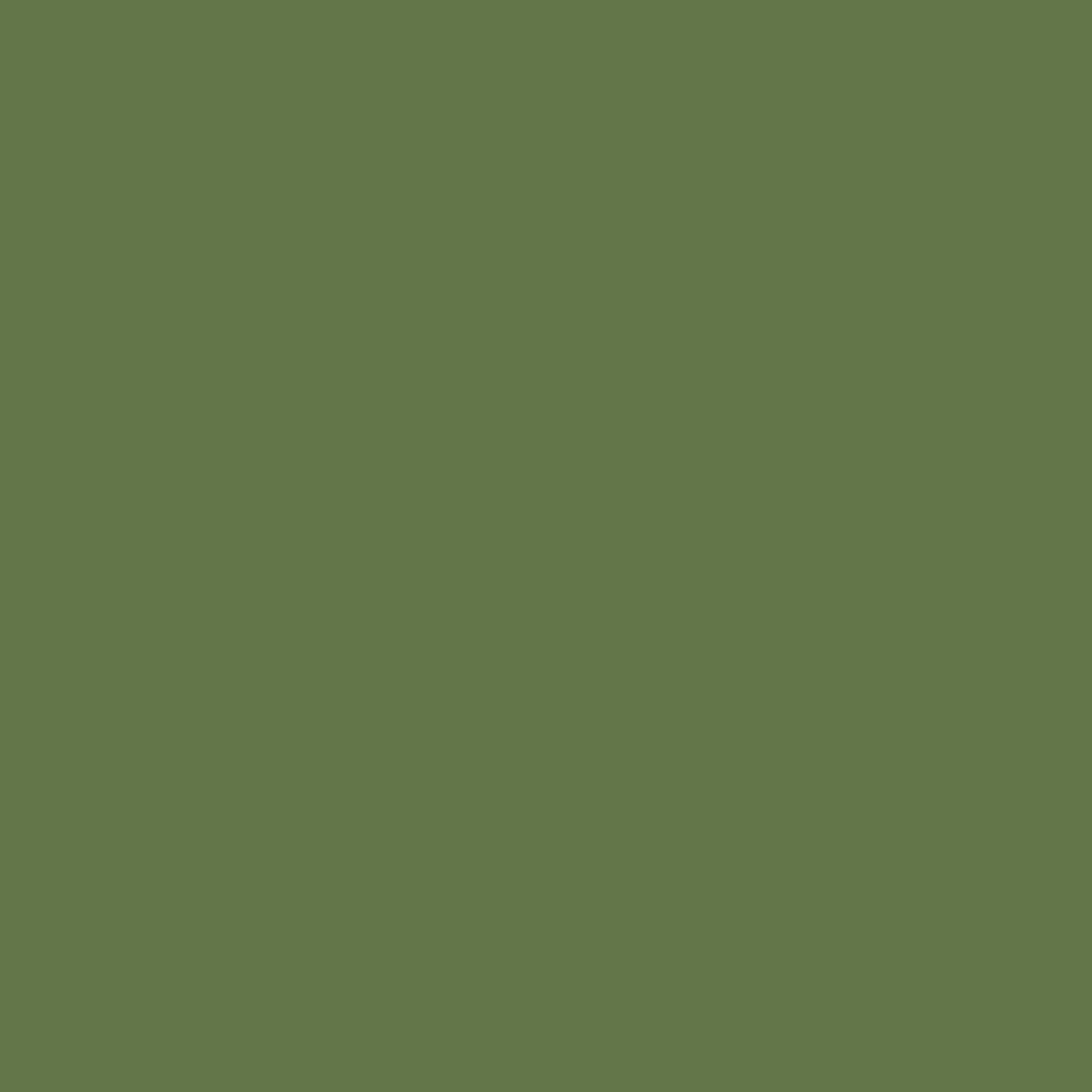Giardino di erbe aromatiche 434