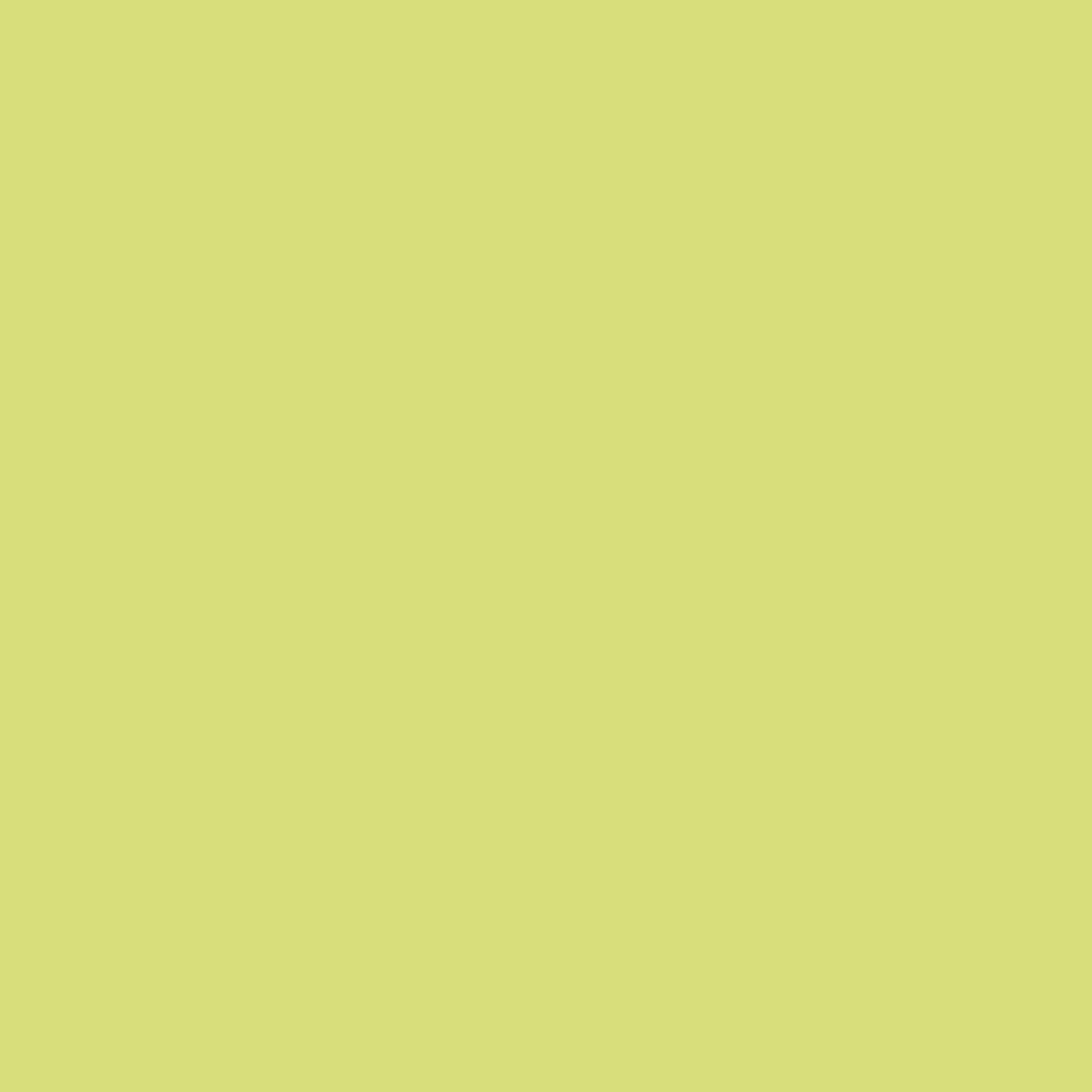 Lime Chic 396