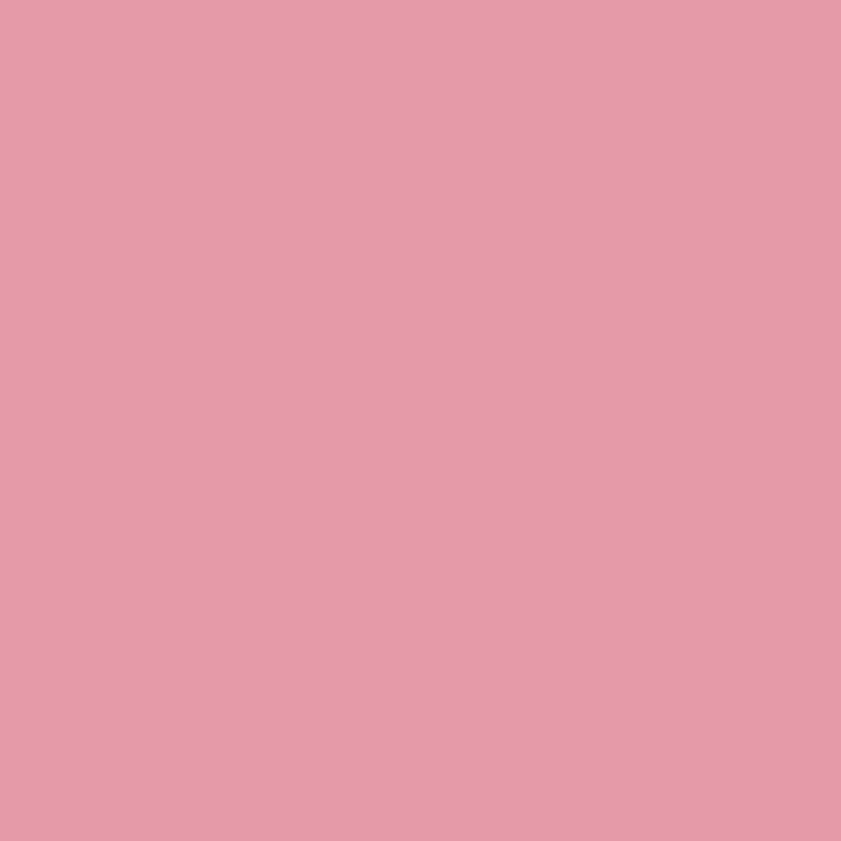 Nastro rosa 1340