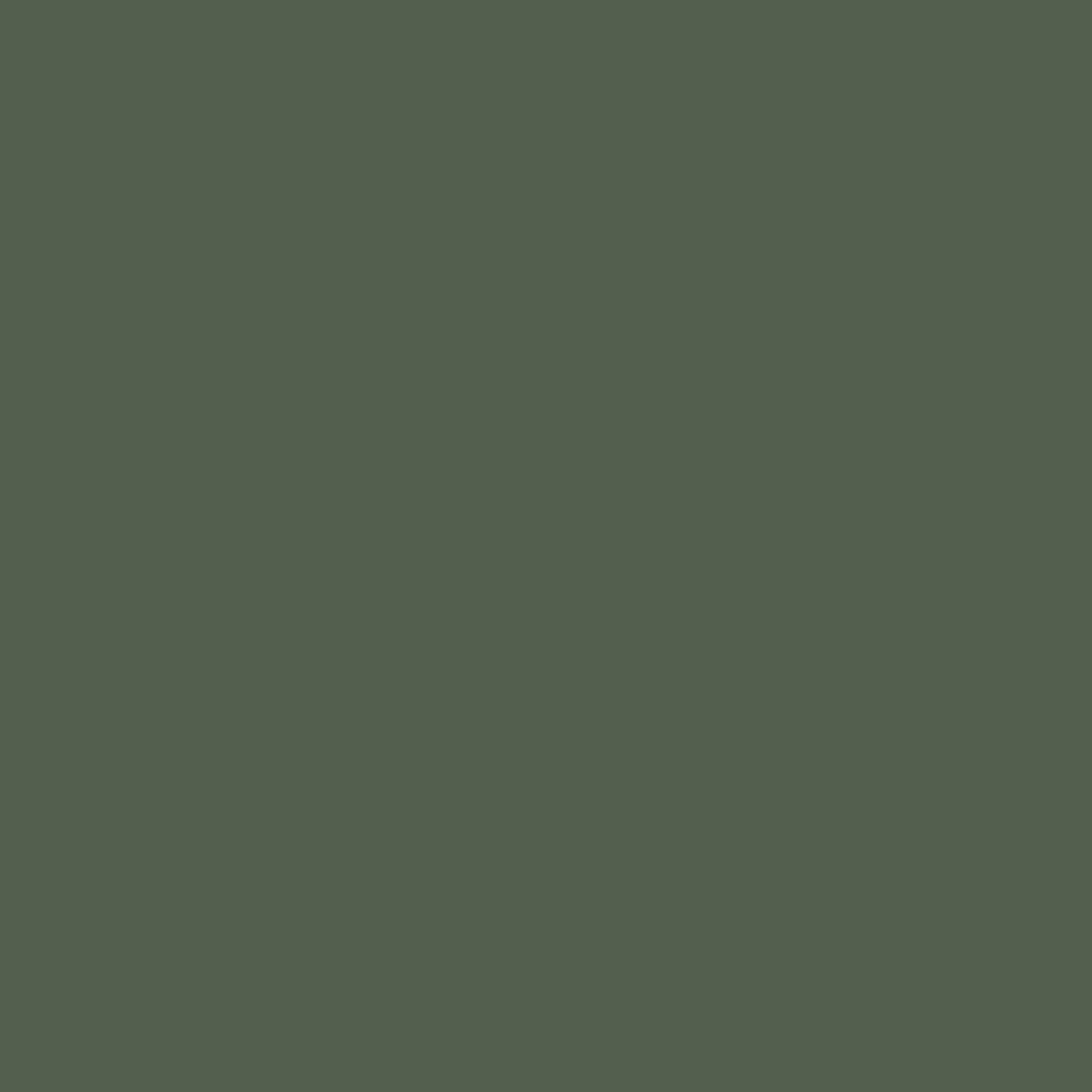 Foresta boreale AF-480
