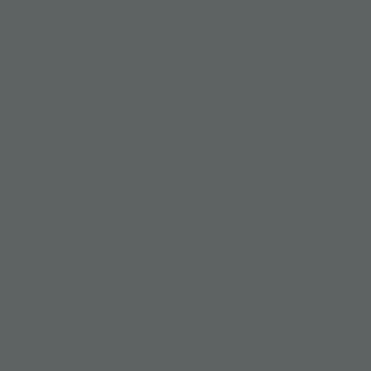 Ardesia Bracken CW-690