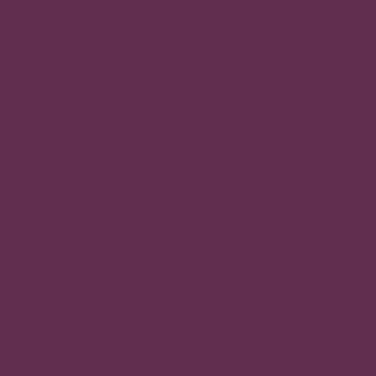 Vino di sambuco CSP-470