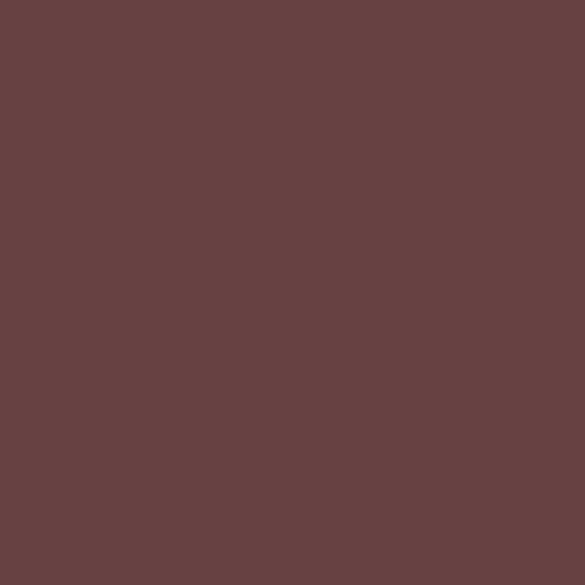 Nuovo Pilgrim Red ES-21