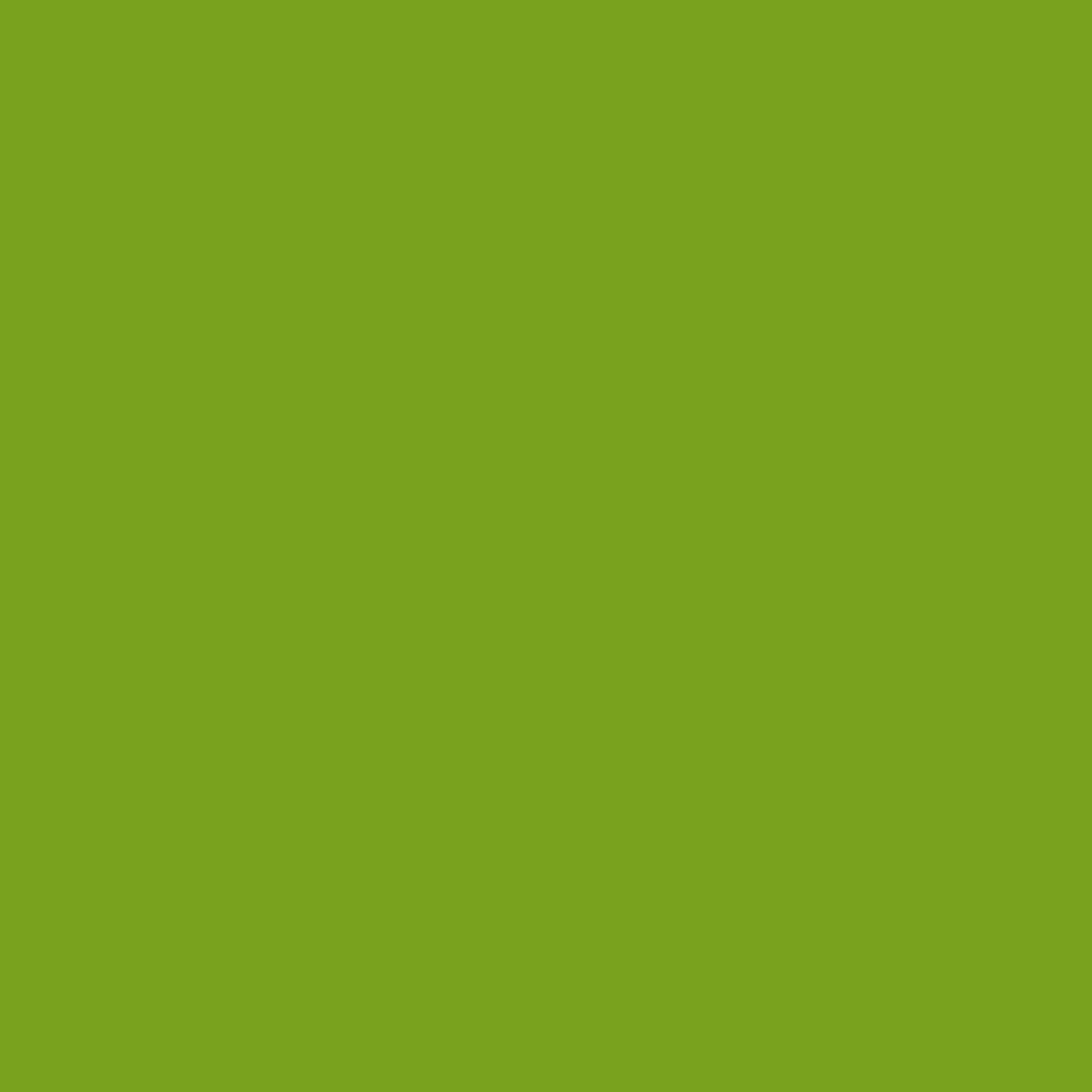 Iguana Verde 2028-10