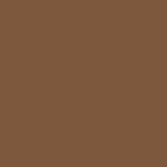 Marrone Palude 2164-20