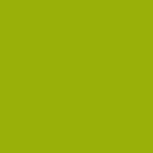 Verde lime scuro 2027-10