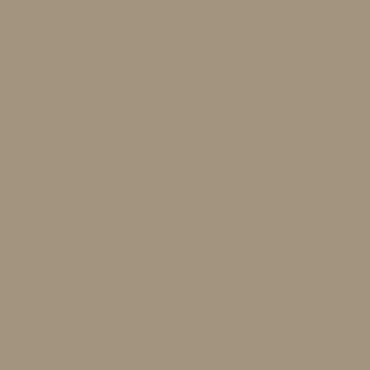 Grigio Beige ES-51