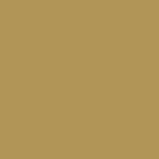 Zucca acorn 258