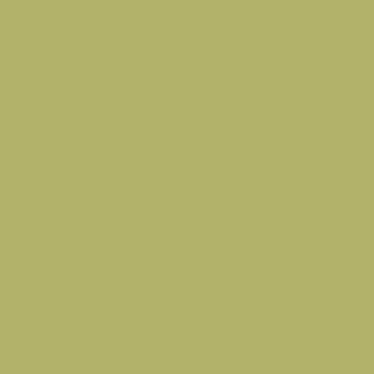 Verde pappagallo CW-465
