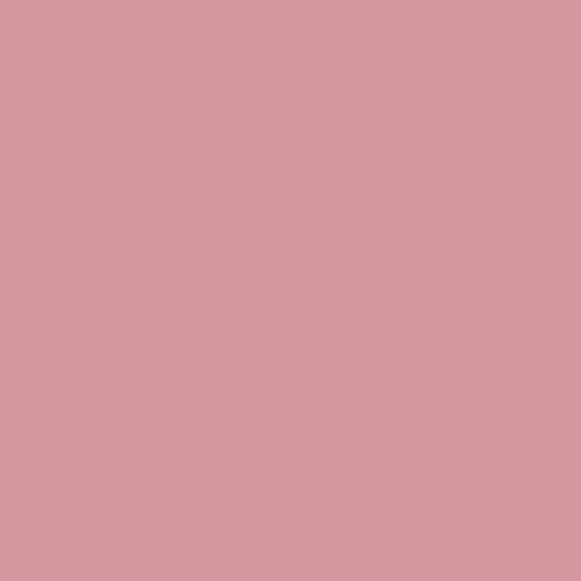 Palermo Rosa 1278