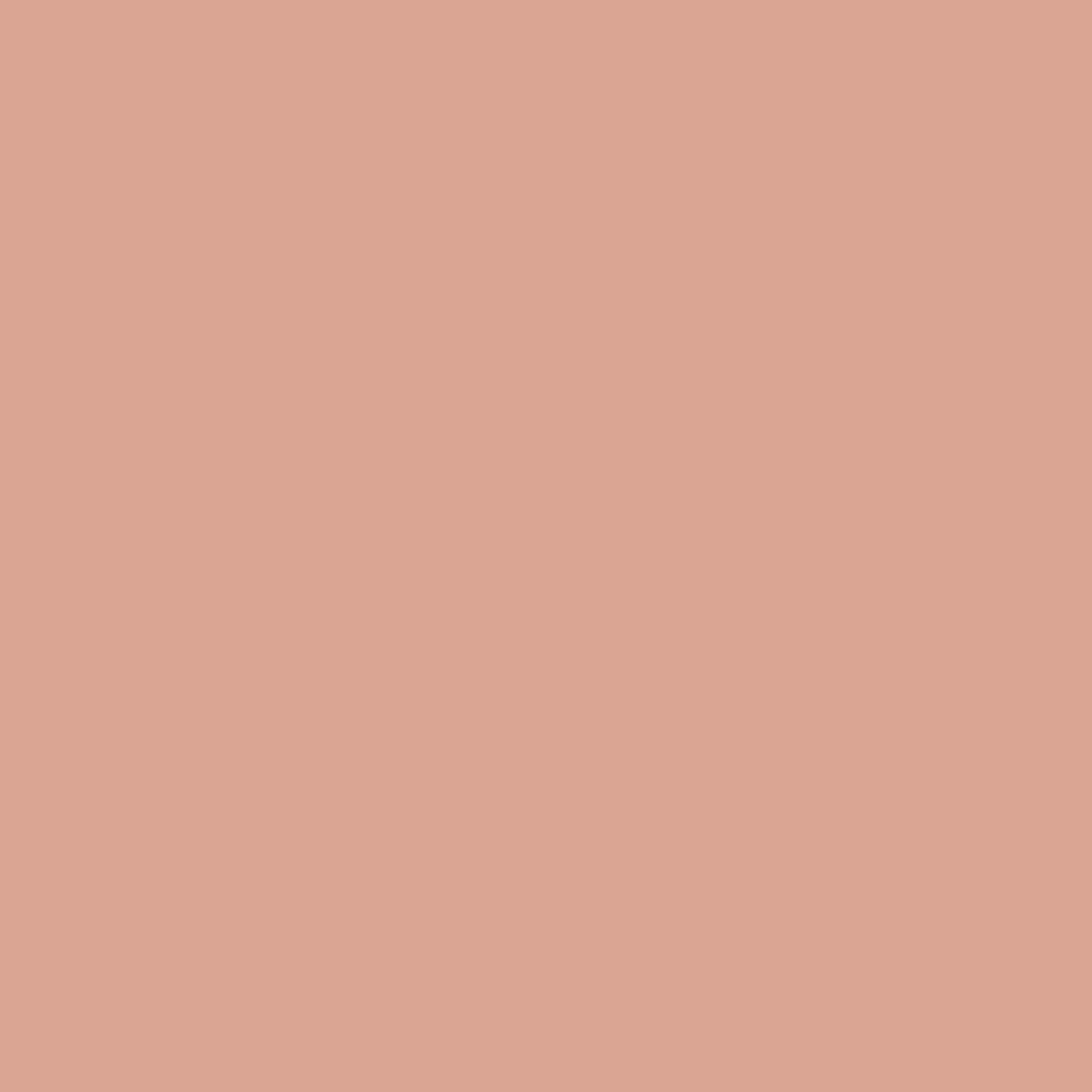 Mousse al salmone 046
